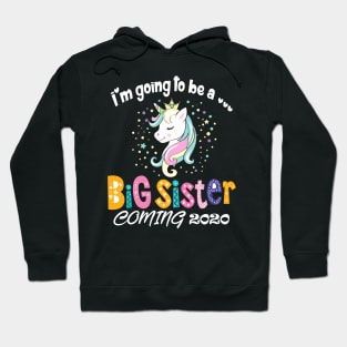 I am going to be a big sister Hoodie